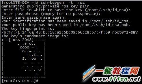 #黑五# contabo:免“机房附加费”、免“设置费”,NVMe5折,适用于VPS、VDS、独服