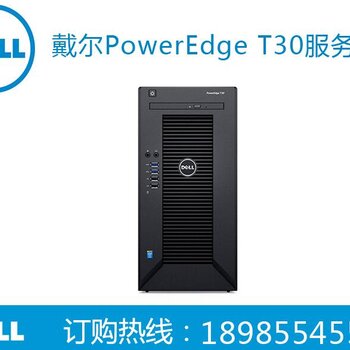 Dell T30服务器,性能如何?适用哪些场景?性价比如何? 第1张 Dell T30服务器,性能如何?适用哪些场景?性价比如何? 第1张