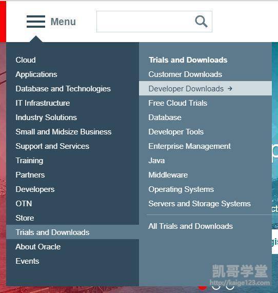 Java编译中文乱码怎么办？