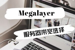 #黑五# megalayer:香港/菲律宾/新加坡/美国,VPS低至199元/年,独立服务器低至299元/月