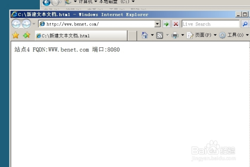 IIS建站选哪种虚拟主机技术好?