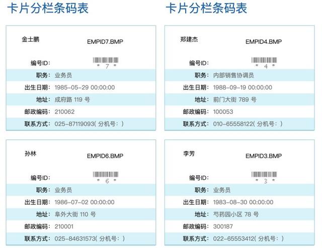 JavaZ实现报表功能有哪些具体步骤和技巧?