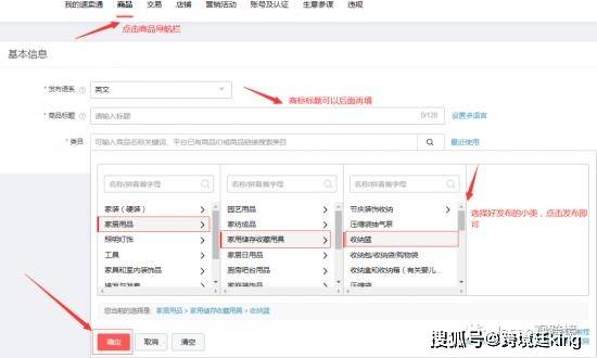 Java中设置窗体标题的详细步骤和方法是什么?