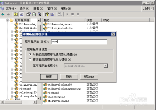 如何新建IIS站点并配置应用程序池,具体步骤是什么?