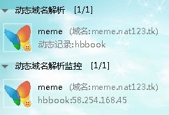 nat123域名是什么?,nat123域名怎么解析