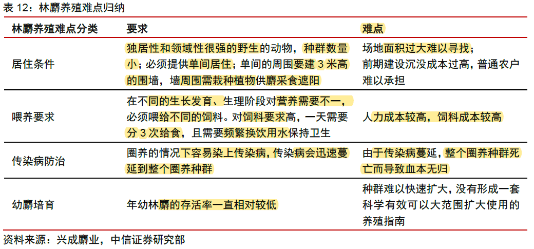 四杂域名是什么意思?四杂域名是否有投资价值