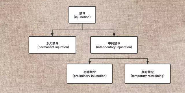 域名权利是什么?域名权利归属解析,一篇文章讲清