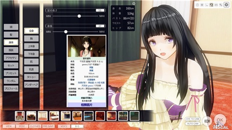 3d定制女仆2配置