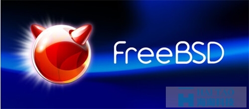 FreeBSD搭建主机怎么做?,专属主机能建网站吗?
