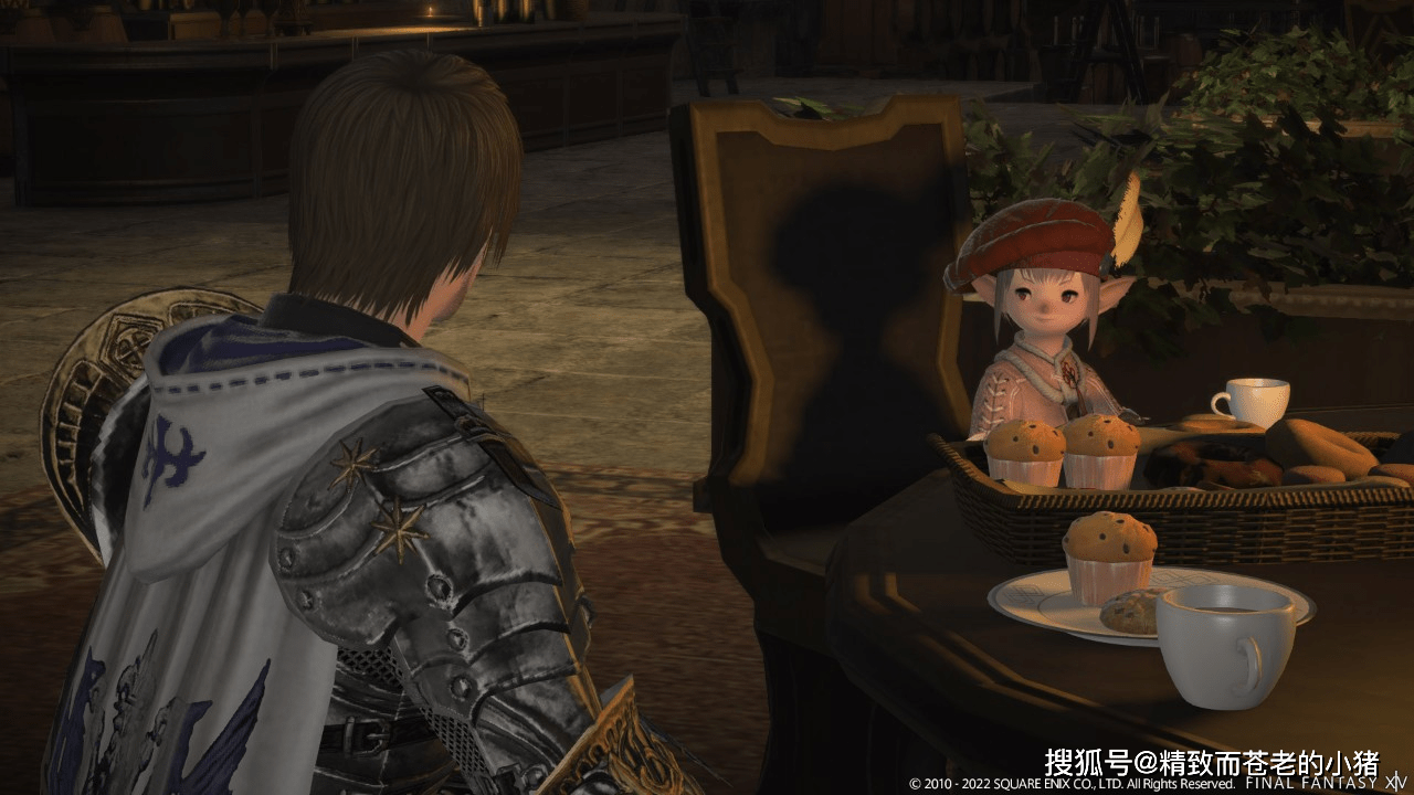 ff14一区服务器为什么绝育,服务器绝育原因是什么