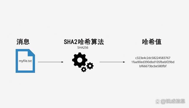 服务器URL是什么?HLS加密密钥URL如何获取?