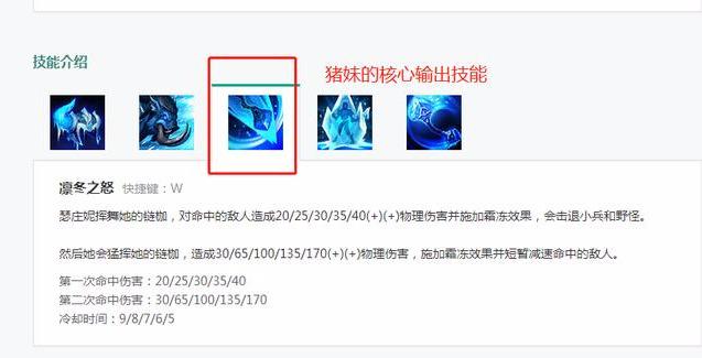 野猪流配置怎么搭配最强?野猪流配兵最佳方案