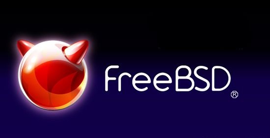 FreeBSD网站主机能搭建网站吗,怎么用? 第1张 FreeBSD网站主机能搭建网站吗,怎么用? 第1张