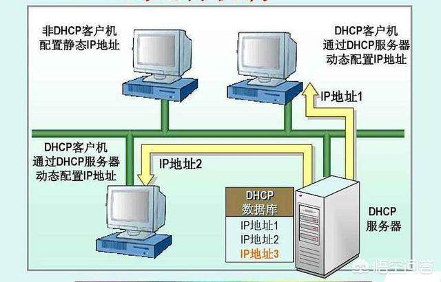 dhcp服务器的客户端信息是什么,DHCP客户端信息包含哪些内容 第2张 dhcp服务器的客户端信息是什么,DHCP客户端信息包含哪些内容 第2张