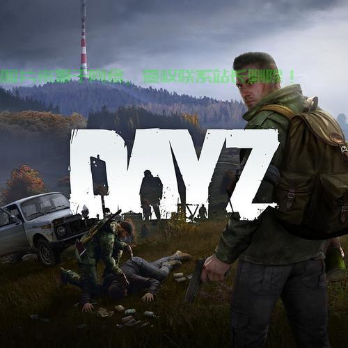 DAYZ服务器什么时候更新一次,多久更新一次? 第2张 DAYZ服务器什么时候更新一次,多久更新一次? 第2张