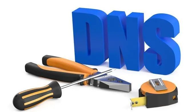 搭建DNS域名服务器有什么用,企业自建DNS有哪些好处? 第1张 搭建DNS域名服务器有什么用,企业自建DNS有哪些好处? 第1张