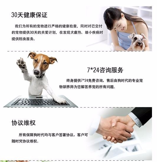 狗域名注册有什么好处,狗域名怎么注册? 第3张 狗域名注册有什么好处,狗域名怎么注册? 第3张