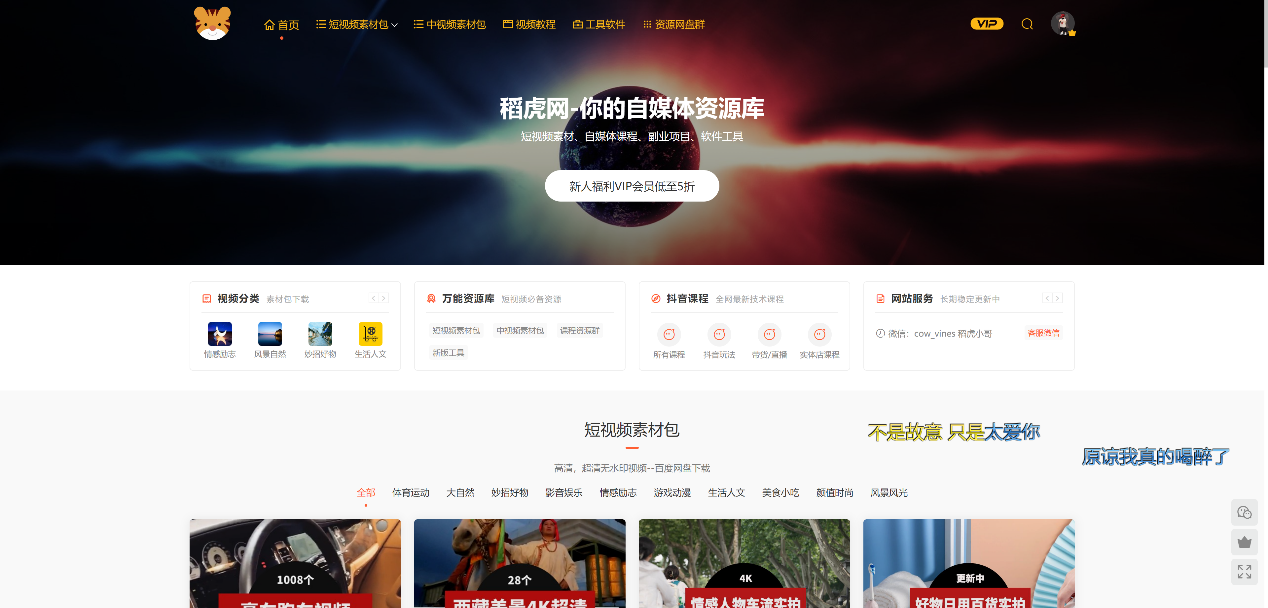 四虎的新域名 第2张 四虎的新域名 第2张