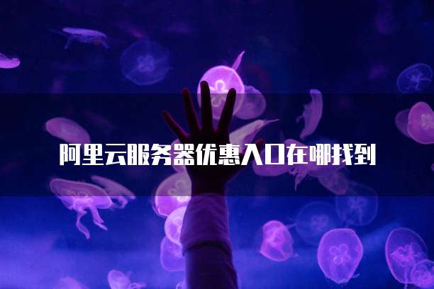 灵梦云服务器入口官网是什么,官网登录入口在哪里?