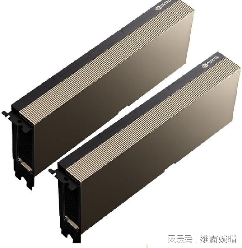 服务器a800显卡长什么样,如何从外观判断性能等级?