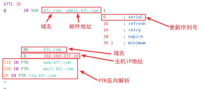 域名静态解析 第3张 域名静态解析 第3张