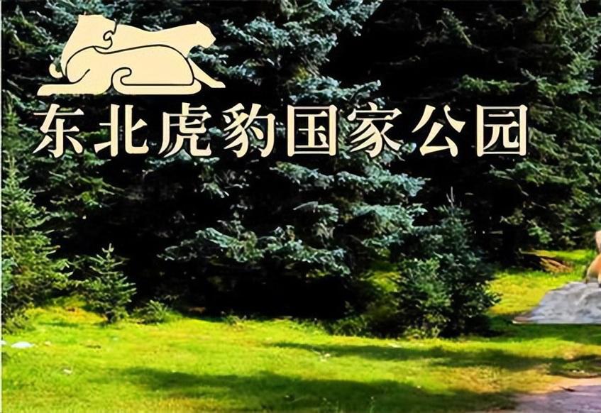 四虎地址域名是什么,最新可用的四虎影院入口在哪