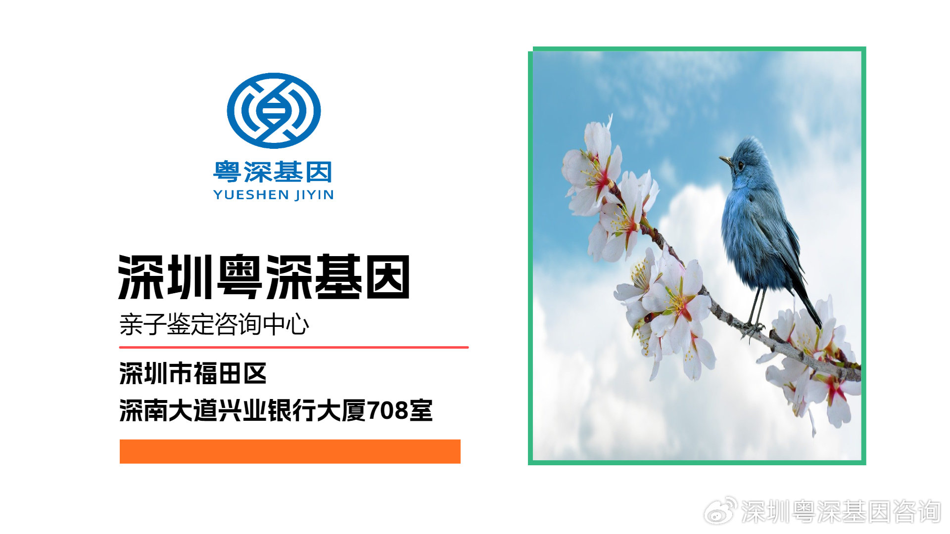福田商城网站制作怎么收费,小程序开发哪家好?