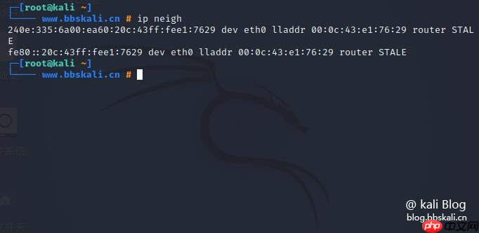 Kali网卡配置怎么设置?,kali linux网卡配置命令详解 第3张 Kali网卡配置怎么设置?,kali linux网卡配置命令详解 第3张