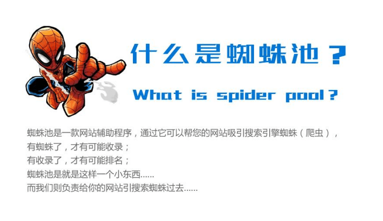 蜘蛛池域名到底是什么,应该怎么使用效果最好呢?